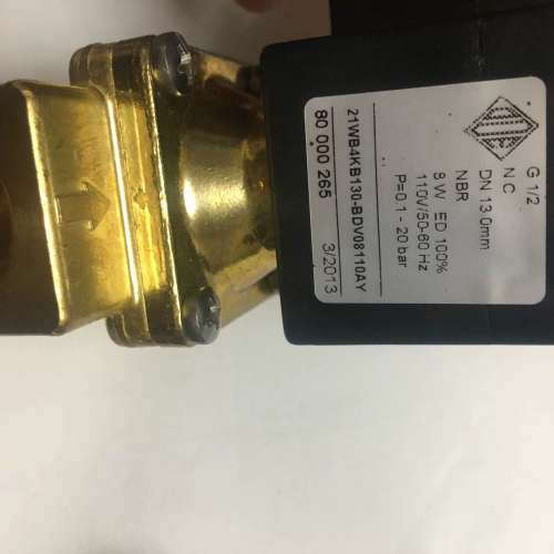 ODE 21WB4KB130-BDV08110AY G 1/2 DN 13.0mm NBR 8W 110V 220V议