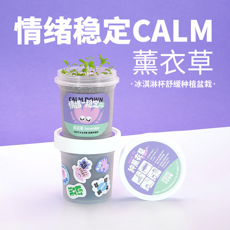 光合觉醒薰衣草解压种植小盆栽室内办公桌面植物生日圣诞创意礼物