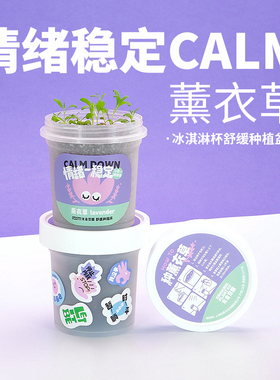 光合觉醒薰衣草解压种植小盆栽室内办公桌面植物生日圣诞创意礼物