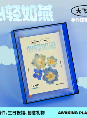 大飞燕手作压花相框画装饰治愈小众工位桌面摆件生日祝福纪念礼物