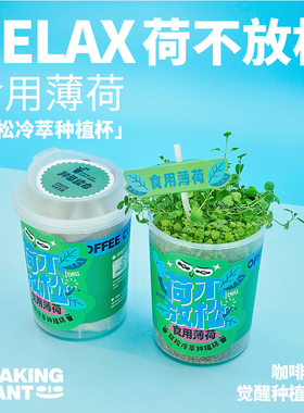 光合觉醒减压薄荷种植小盆栽办公桌面室内绿植生日新年创意小礼物