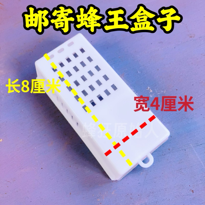 养蜂工具蜂王邮寄王笼塑料蜜蜂蜂皇保护王笼王龙透明可视不配海绵