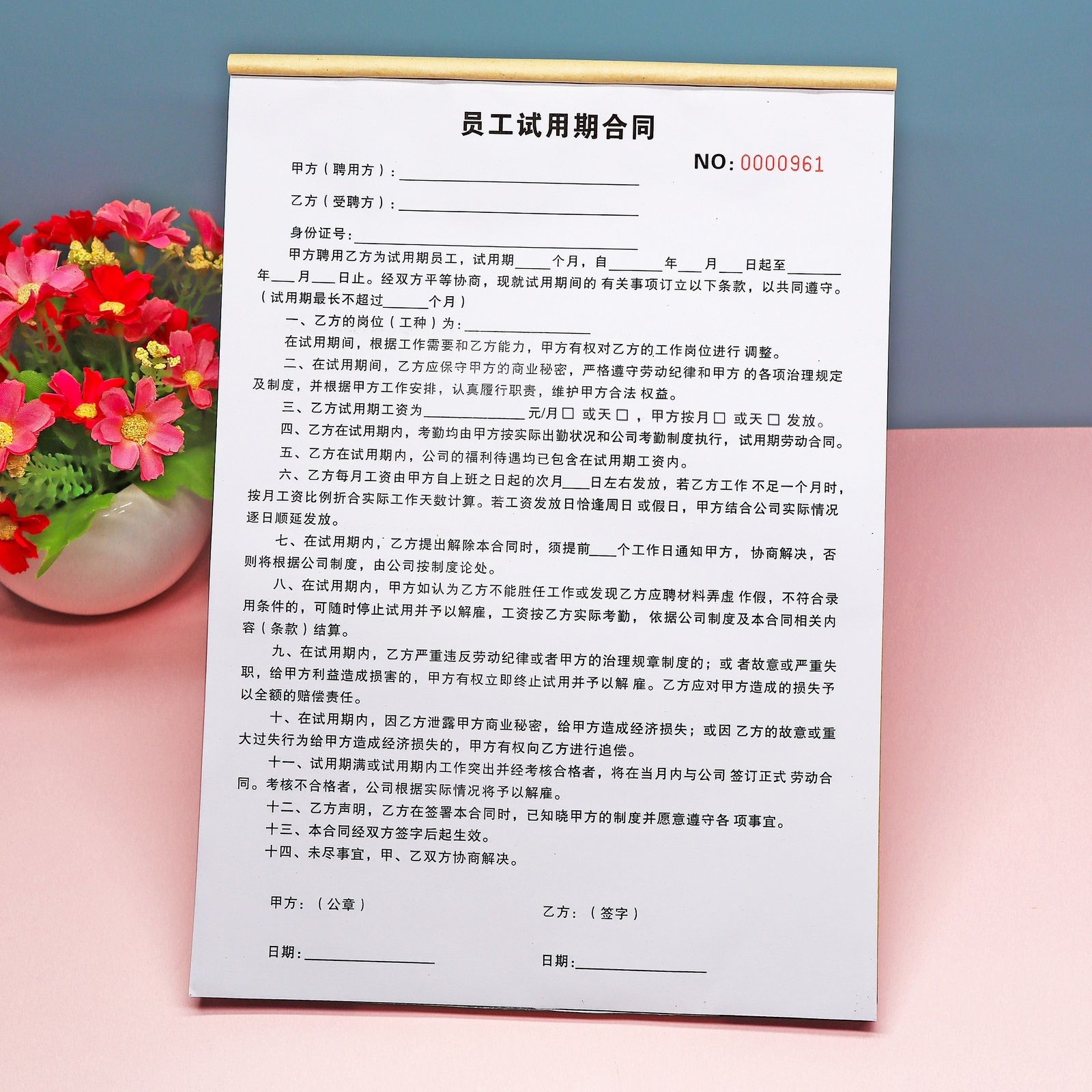 公司新员工试用期劳动合同单