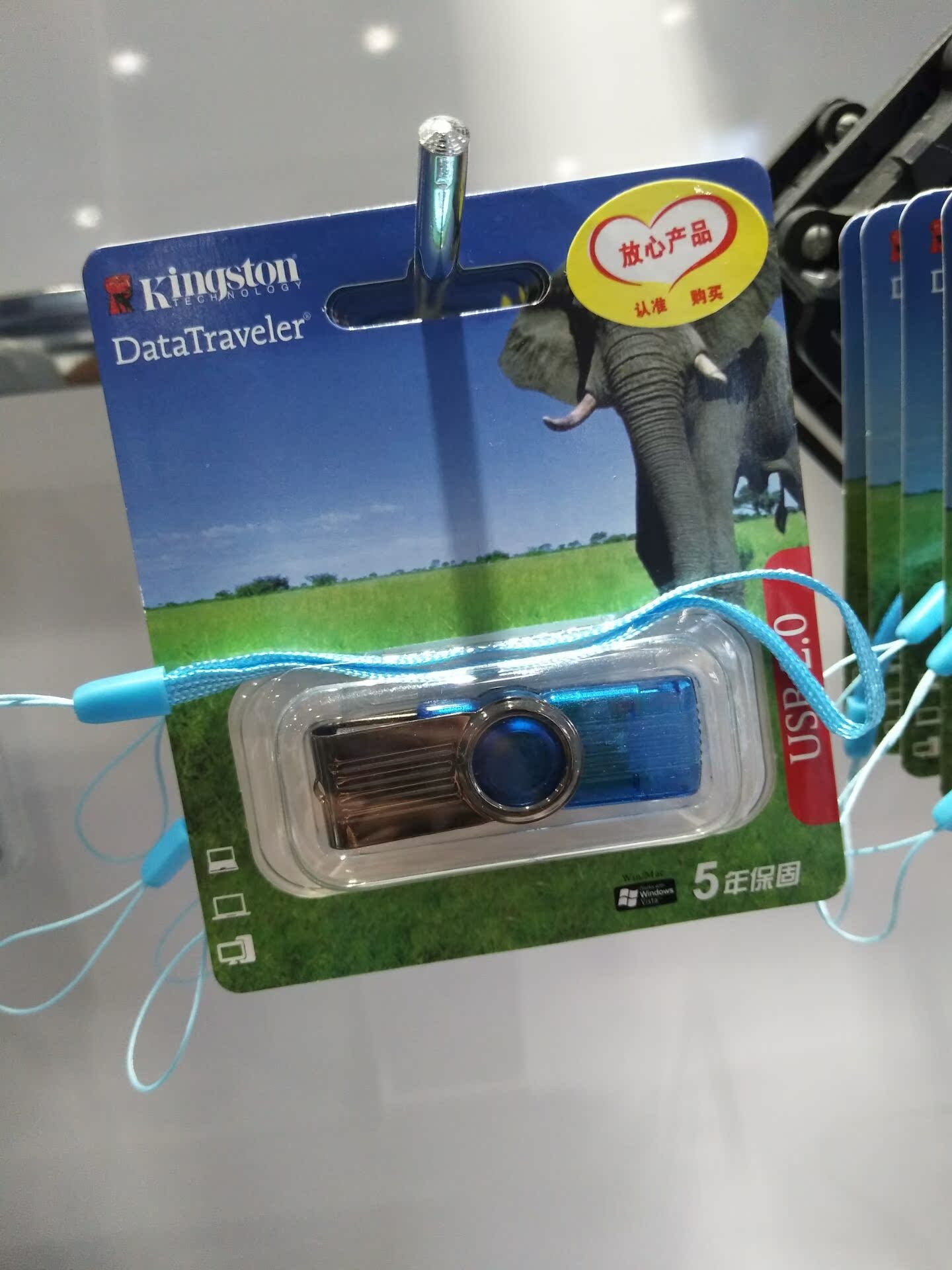 Kingston/½ðÊ¿¶ÙUÅÌDT101G2(4G)