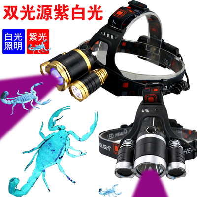 头灯蝎变焦强光聚光紫光灯
