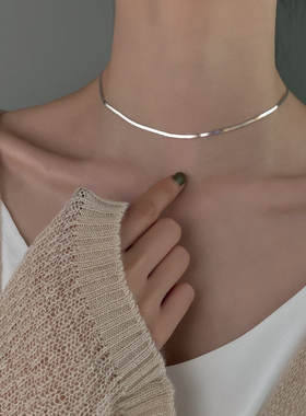 925纯银蛇骨项链女choker2025新款爆款ins冷淡风轻奢小众锁骨颈链