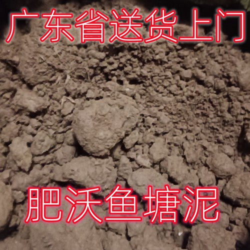 有机肥沃鱼塘泥土田园种植营养土