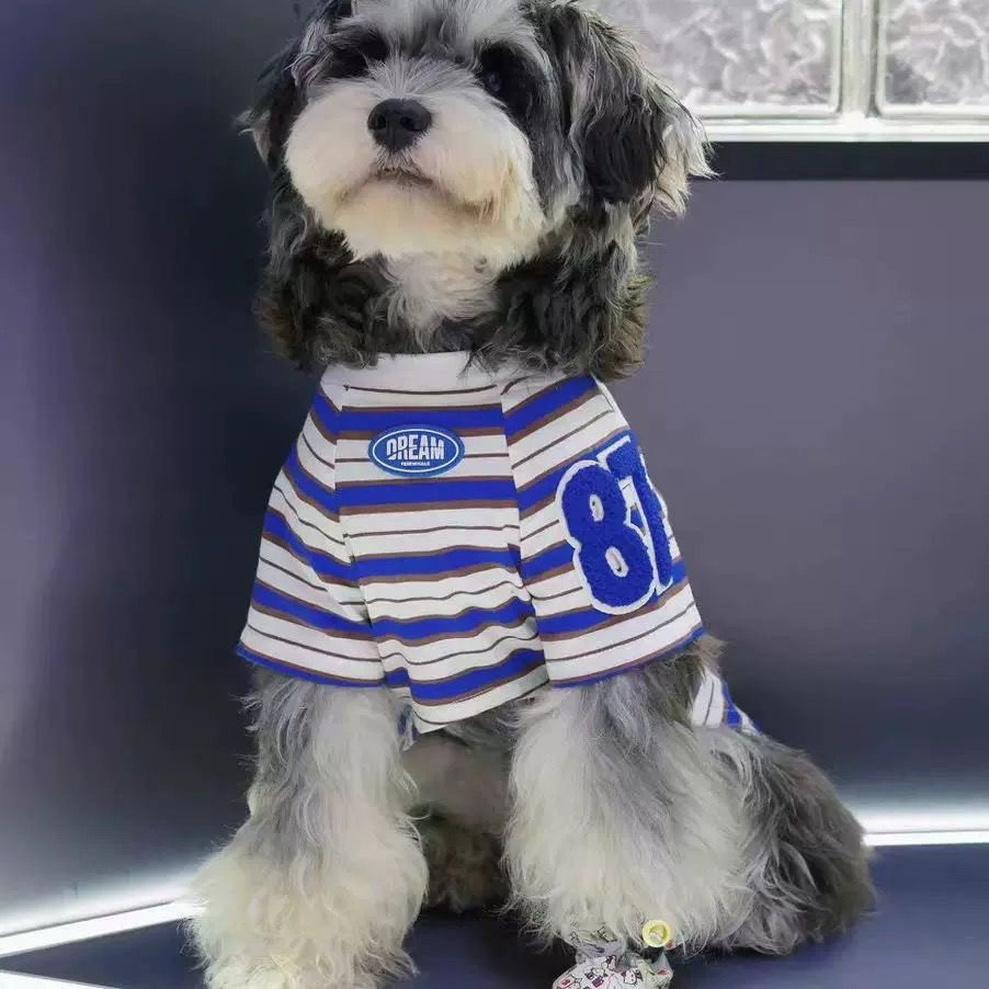 法国JoyPaw宠物衣服小狗狗夏天背心款薄款条纹款约克夏泰迪比熊