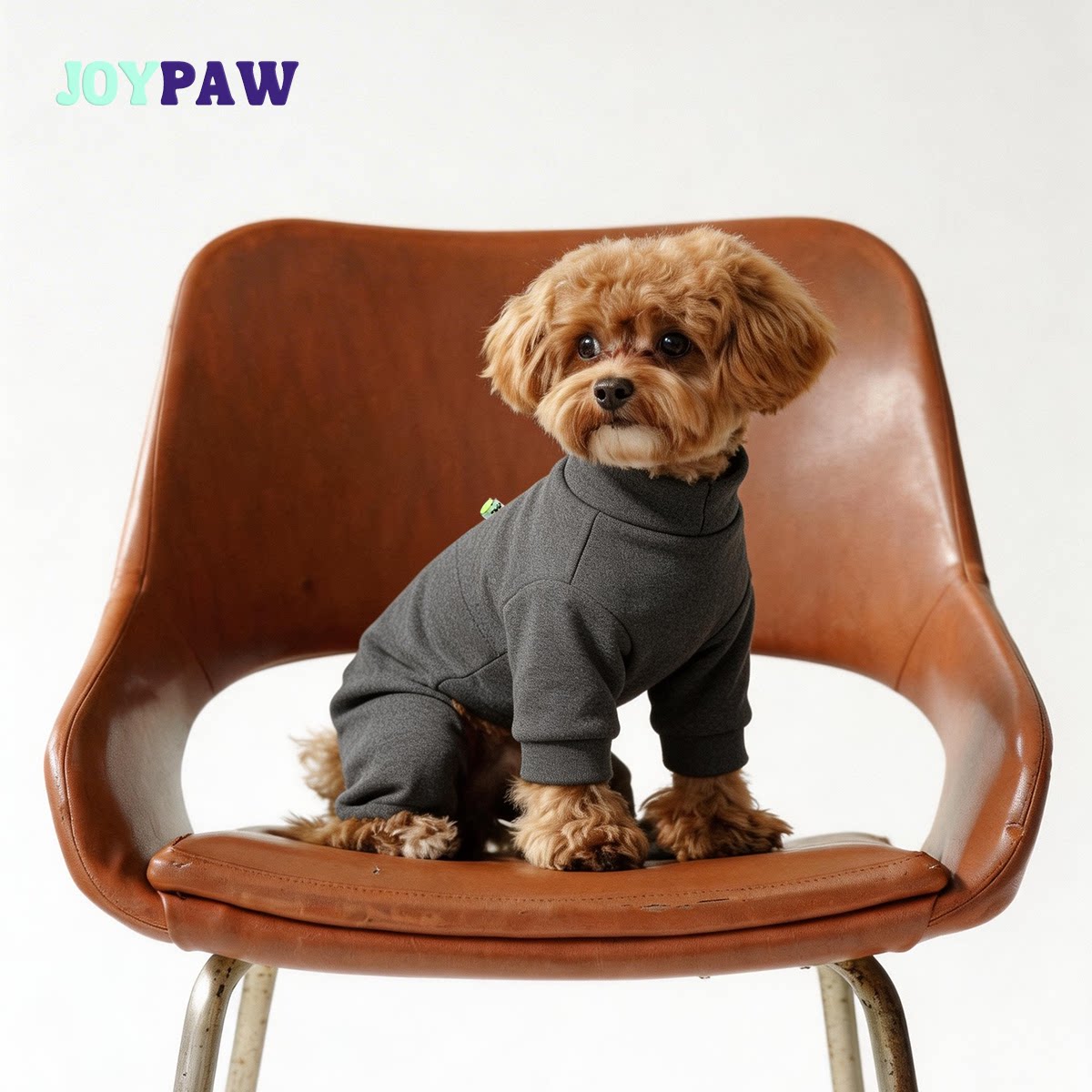 法国JoyPaw宠物衣服秋冬泰迪比熊雪纳瑞小型犬小狗猫咪装条纹加绒