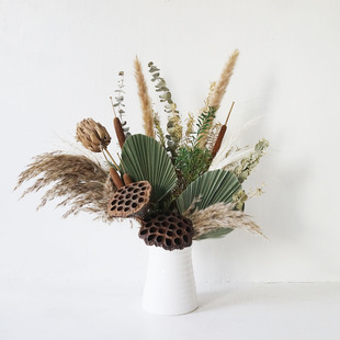 天然干花花束芦苇草莲蓬干花 干蒲扇叶尤加利叶组合装饰花瓶摆件