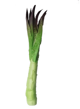 Lmdec高仿真蔬菜模型 假莴笋白菜娃娃菜手感装饰蔬果摆放水果