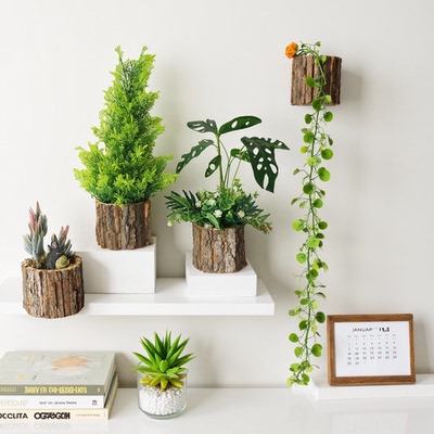 创意新款松木原木树桩仿真绿植