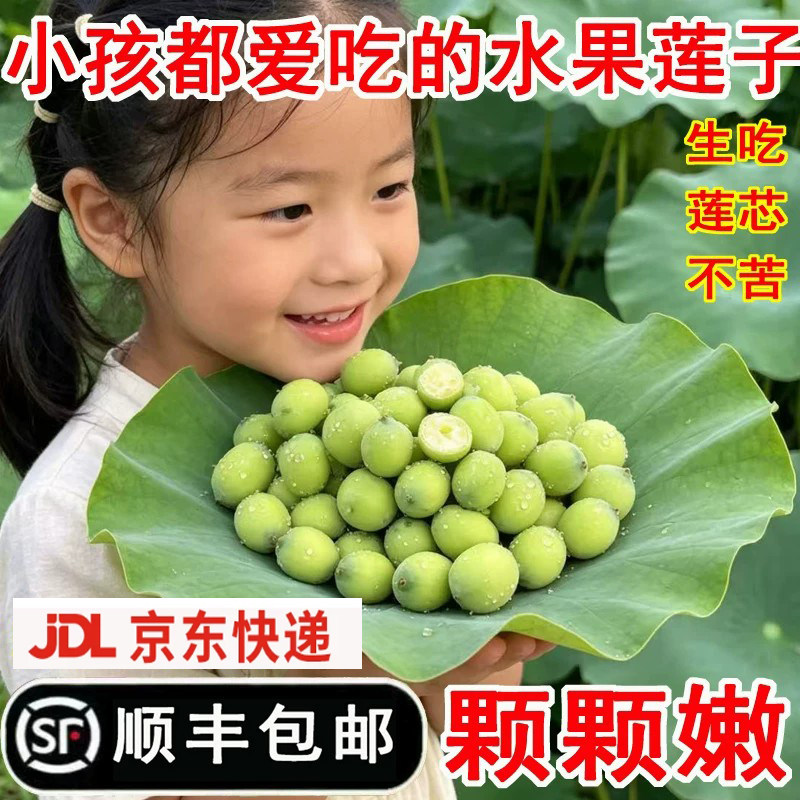 洪湖莲蓬新鲜嫩莲子水果生吃零食湖北特产现摘去壳莲子米包邮顺丰