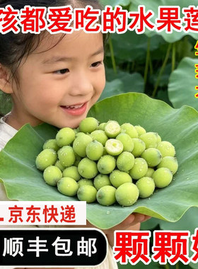 洪湖莲蓬鲜嫩水果吃零食特产