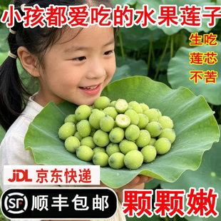 洪湖莲蓬新鲜嫩莲子水果生吃零食湖北特产现摘去壳莲子米包邮顺丰
