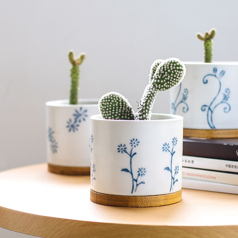 日式小花盆简约现代清新大口径陶瓷罐带托盘多肉植物花盆微瑕清仓