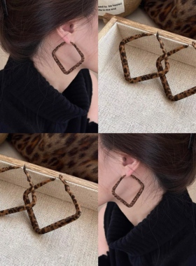 复古几何豹纹耳钉女2025巨好看新款爆款高级感耳环夸张气质耳饰