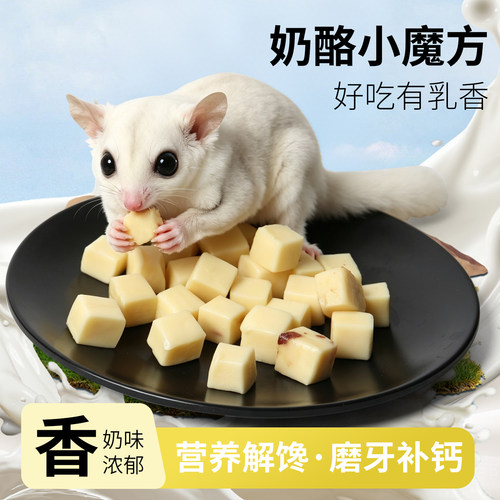 蜜袋鼯奶酪磨牙互动小零食
