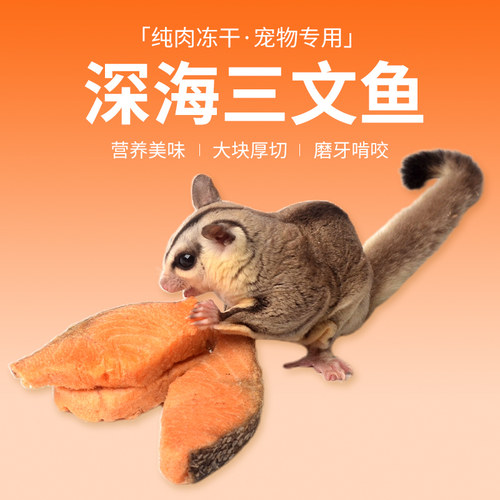 蜜袋鼯仓鼠零食营养粮食猫狗零食