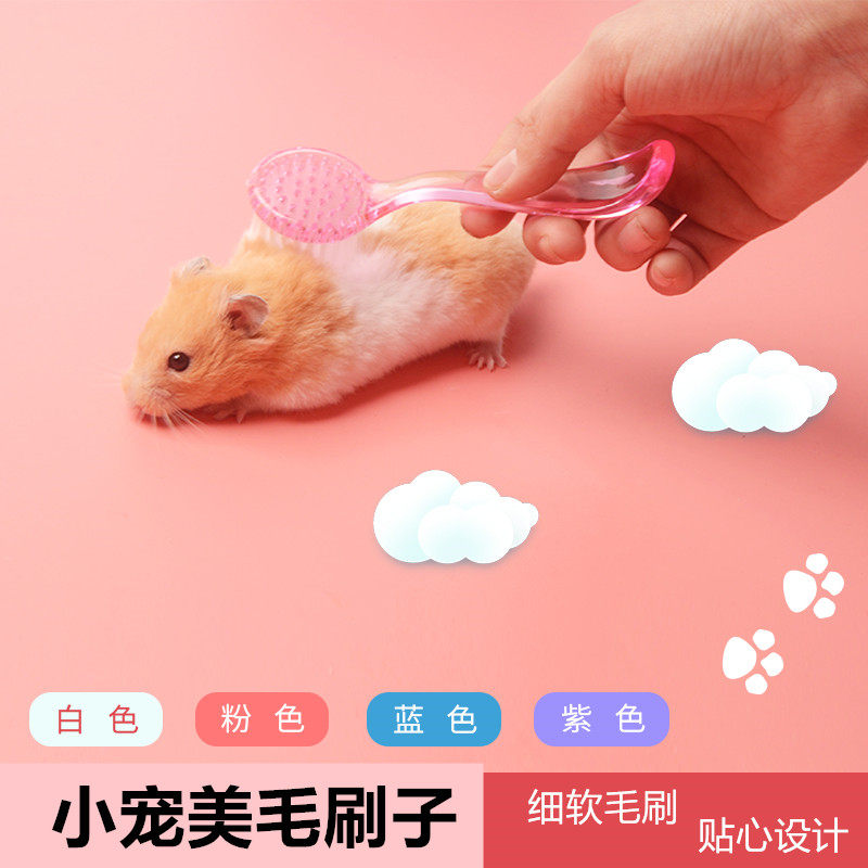 仓鼠软毛刷梳子蜜袋鼯生活用品刺猬龙猫兔子梳理毛发小梳子安抚刷,宠物/宠物食品及用品,玩具/造景装饰,淘宝优惠券,粉丝福利购,淘宝优惠卷