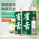绿茶2025新茶四川雀舌明前春茶嫩芽贡芽茶叶自己喝官方正品 特尊