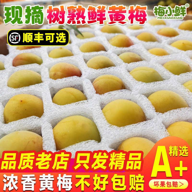 黄梅果新鲜散装 梅小鲜云南完熟青梅果现摘生梅子酸梅胭脂黄梅果