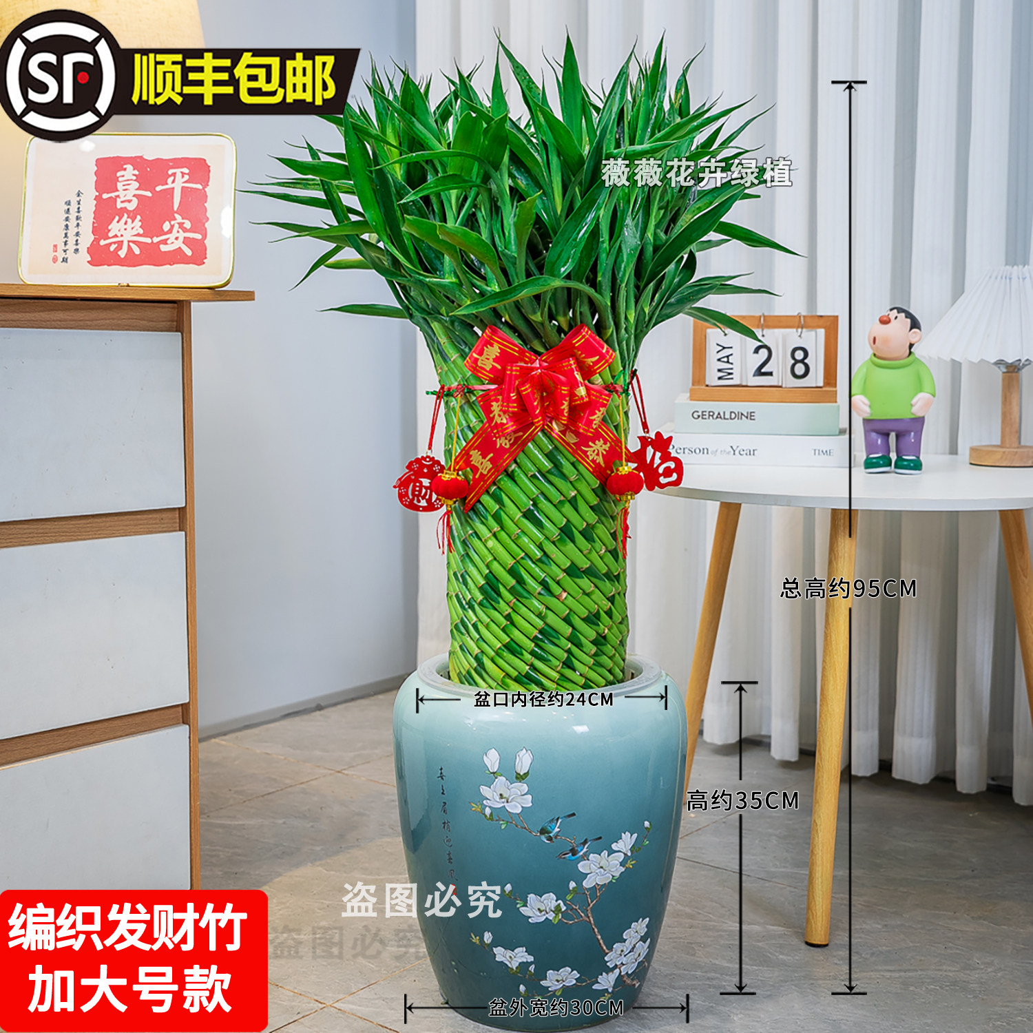 大气水培发财竹盆景室内客厅摆件