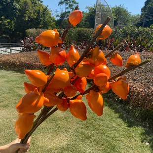 五代同堂黄金果仿真柿子石榴假花年宵花插花客厅新年福桶中式摆件