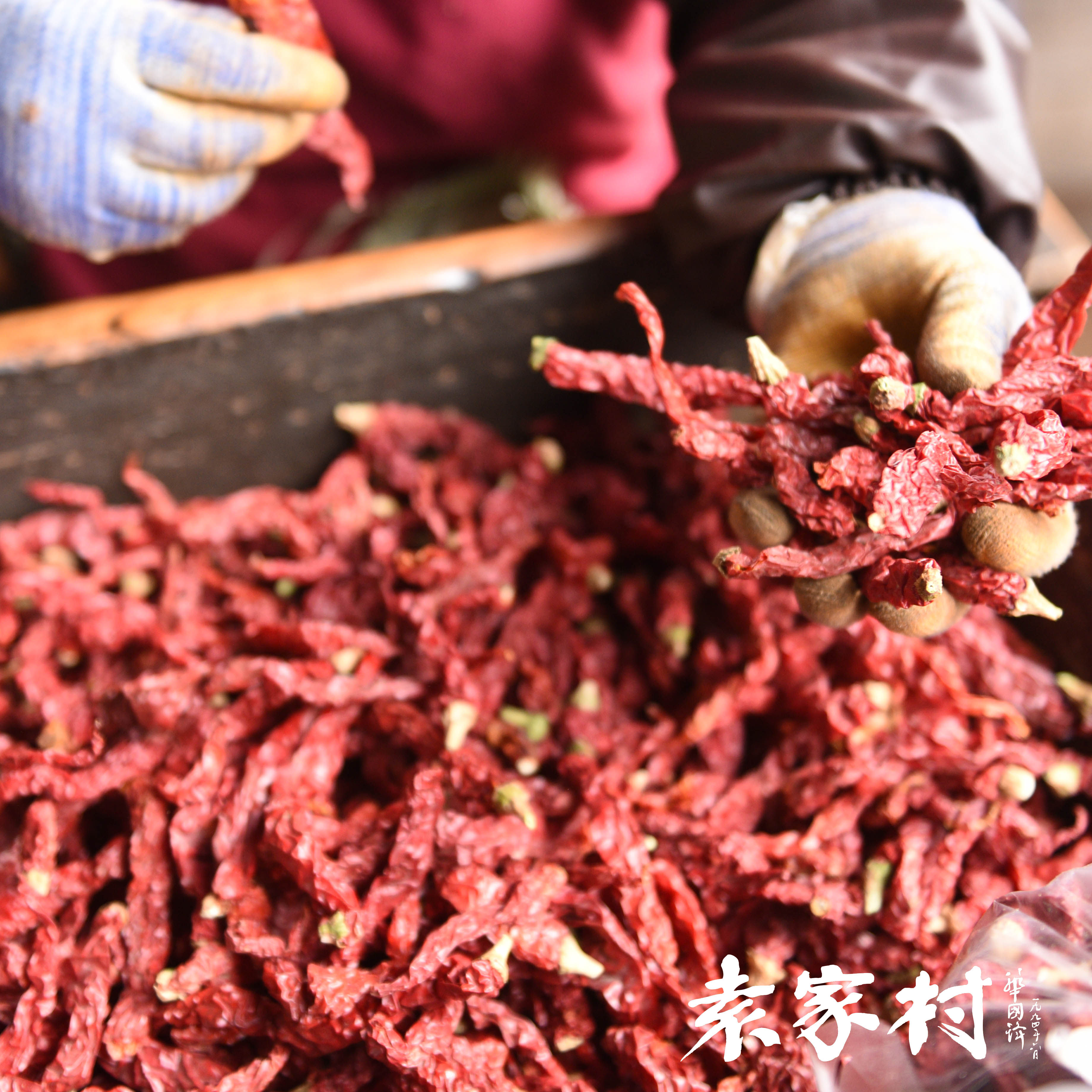 袁家村油泼辣子 280g*2 小吃街特色美食 包邮