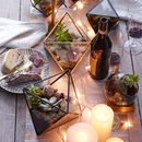 北欧玻璃花房桌面氛围灯摆件烛台咖啡厅露台装 饰植物花盆微景观瓶
