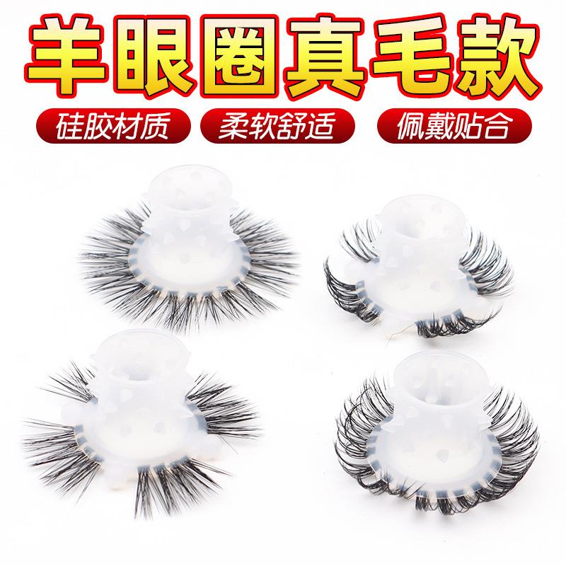 An elastic ring that can prolong sexual intercourse duration