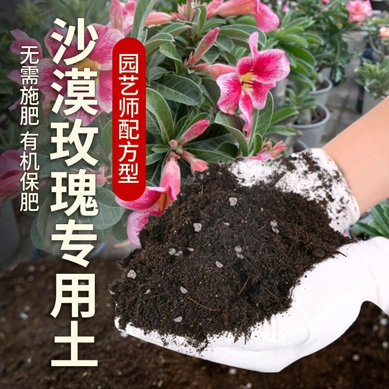 沙漠玫瑰专用土营养土沙漠玫瑰专用肥料泥土有机土阳台花盆育苗土