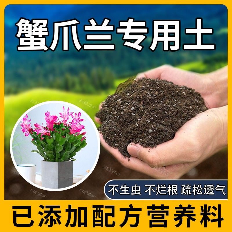 蟹爪兰专用土黑土营养土蓬松植物泥土室内蟹爪莲专用肥料花卉天然