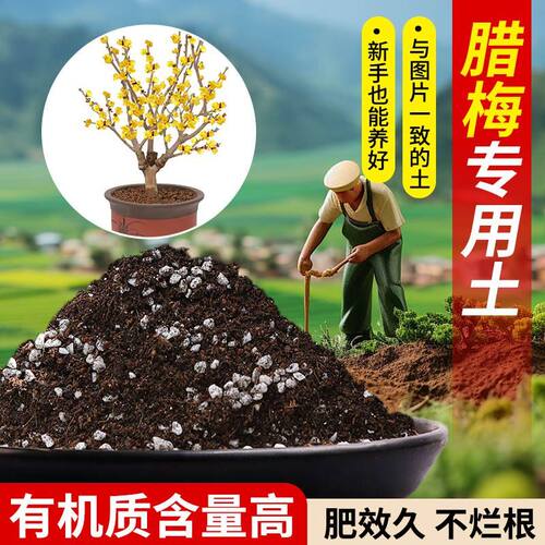 腊梅专用营养土疏松透气含泥炭肥料通用有机种植土适用土轻质土壤