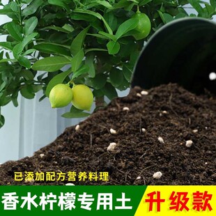 香水柠檬专用土有机土肥料家用种植土香水柠檬营养土盆栽养花包邮