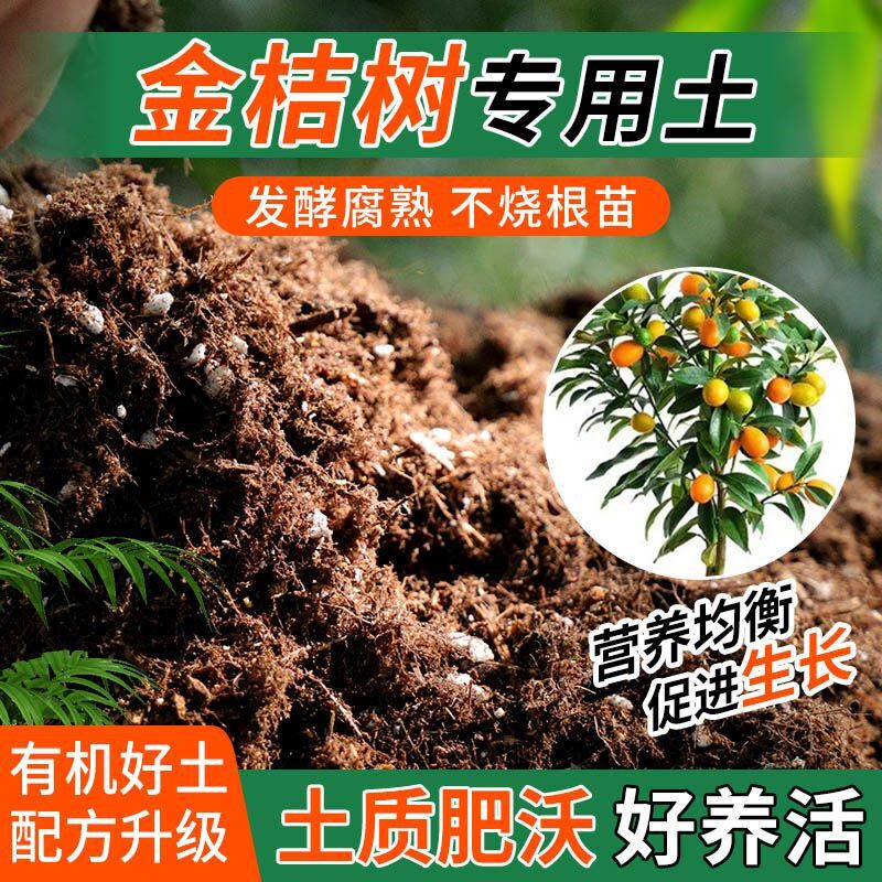 金桔树专用土种植士营养土家庭阳台养花盆栽绿植轻质有机肥料土壤