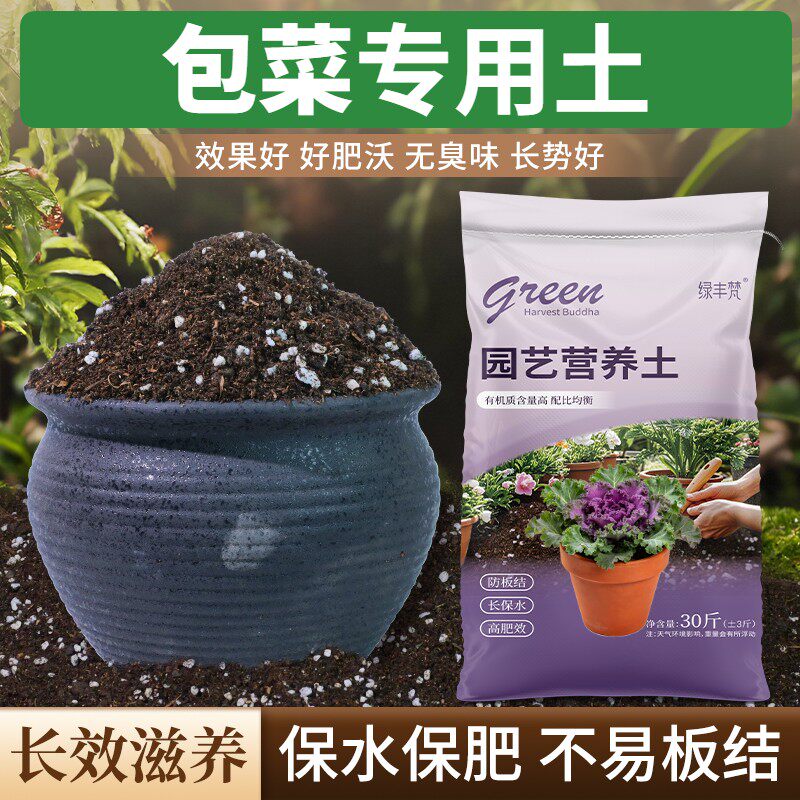 包菜适用盆景土保水锁肥园艺包邮优质增色喜酸有机土疏松透气大包