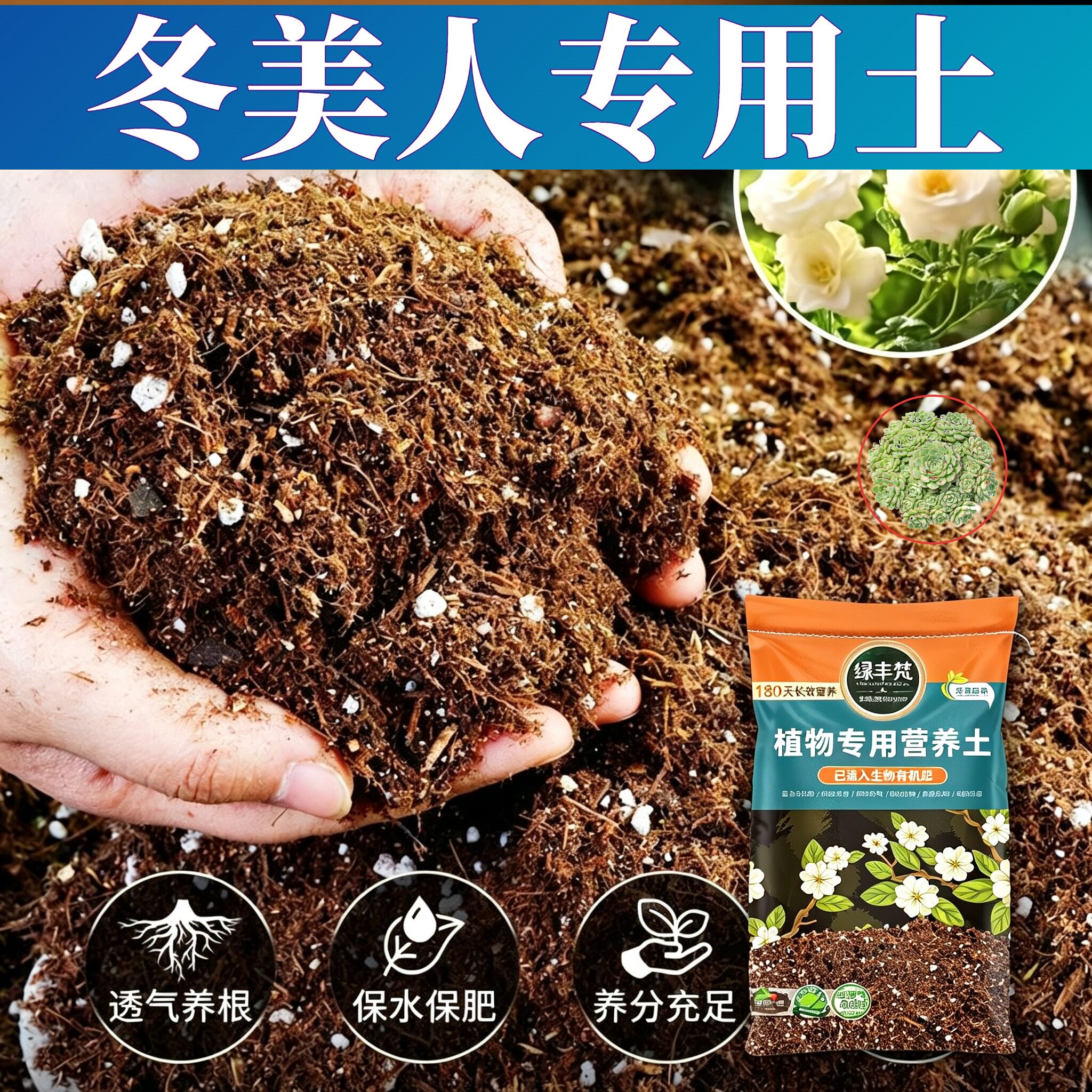 冬美人专用花土无尘处理盆栽营养土结构稳定缓冲肥效开袋即用多肉