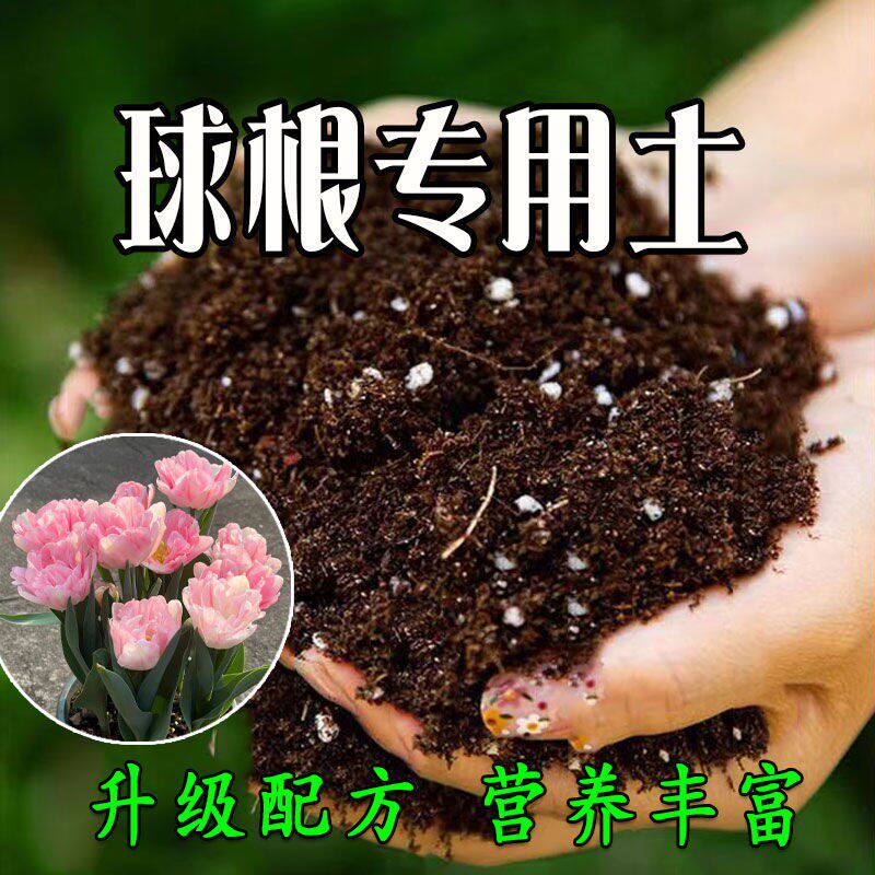 球根专用土球根专用营养土种花养花土育苗土多肉盆栽种植土壤肥料