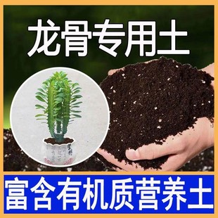 龙骨专用土麒麟盆栽肥料麒麟掌沙质土壤多肉植物龙骨花专用营养土