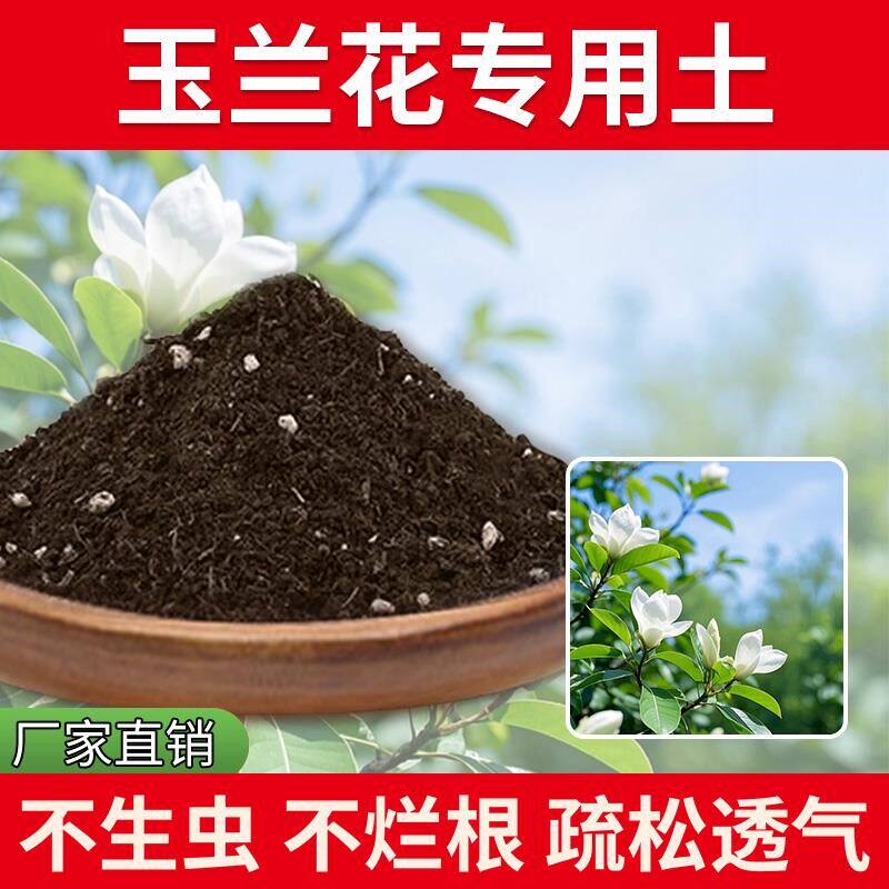 玉兰花专用土透气花土种植通用型椰砖花草绿植盆栽专用土养花种花
