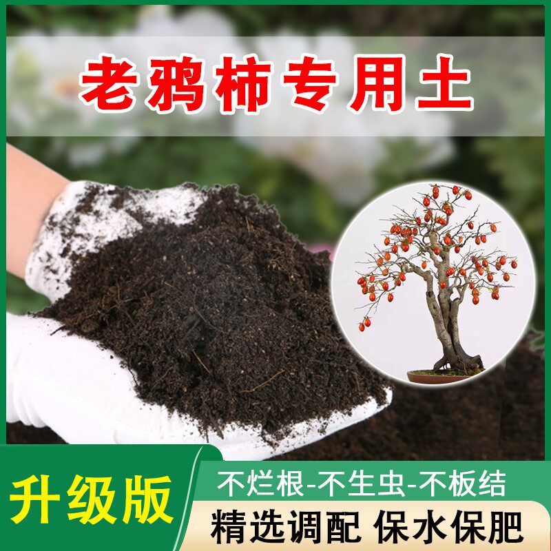 老鸦柿专用土种树专用的营养土金弹子果树土壤花土黑土有机营养土