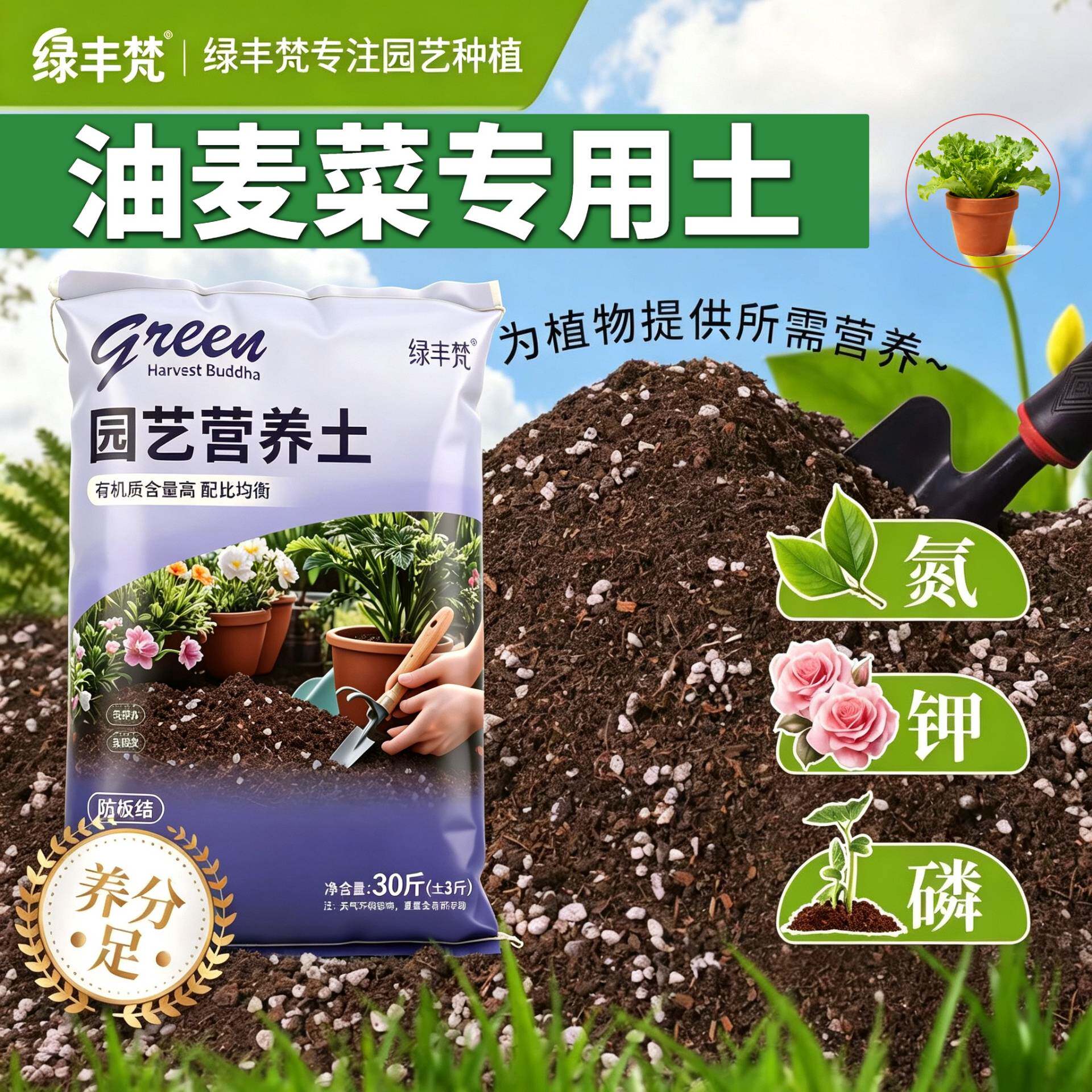 油麦菜适用种植土防烂根加珍珠岩育苗大包有机增色多肉室内壮根