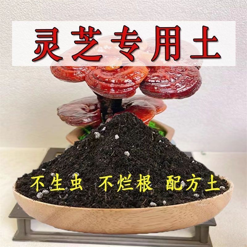 灵芝专用营养土灵芝专用土壤种花养花土育苗土盆栽多肉种植土肥料