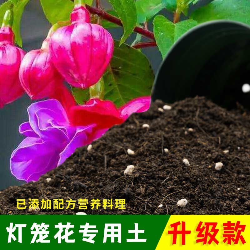 灯笼花专用土灯笼花营养土有机土肥料家用种植土盆栽种花养花泥土