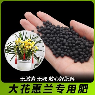 大花惠兰专用肥促生长大花惠兰专用土高钾肥室内盆栽肥料水溶肥
