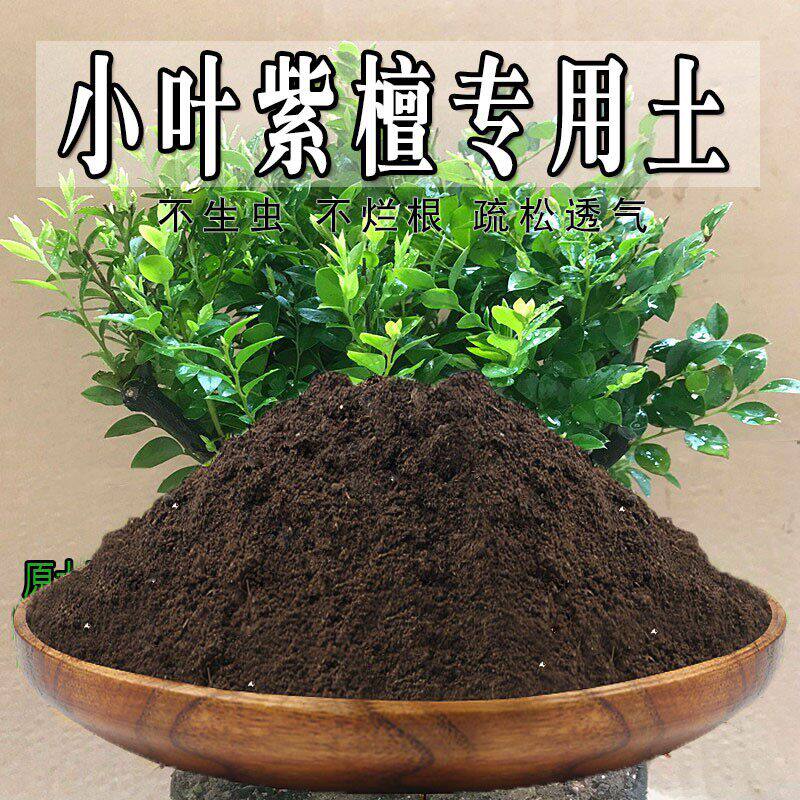 小叶紫檀专用土小叶紫檀土盆栽家用通用养花土种花营养土种植土壤