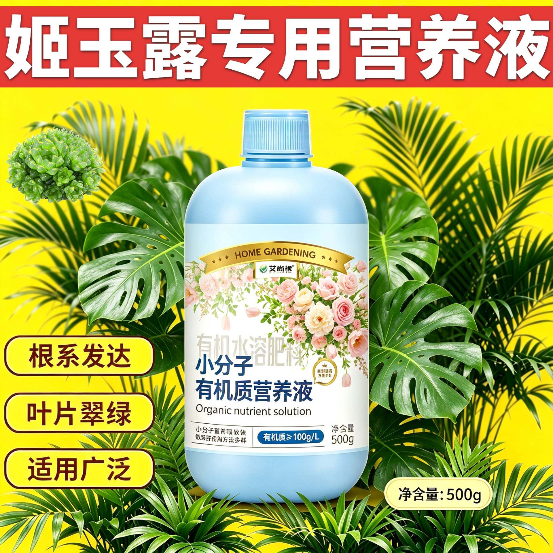 姬玉露适用有机营养液兑水即用园艺家用壮根促长叶绿花艳浓缩高效