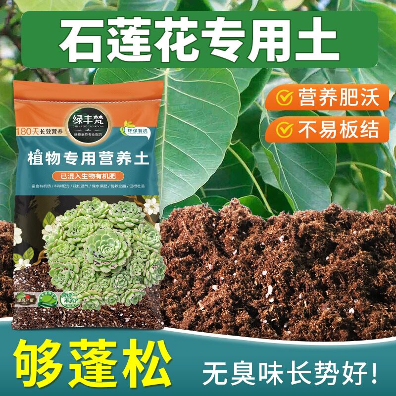 石莲花专用轻质园艺土温和基质扦插盆栽土精选促进透气无草籽观花