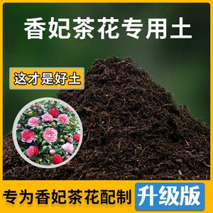 香妃茶花专用土家用种植土透气香妃茶花营养土盆栽种花养花有机土